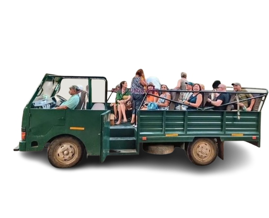 whatsapp image 2025 01 05 at 23.38.10 805cacb4 removebg preview 1