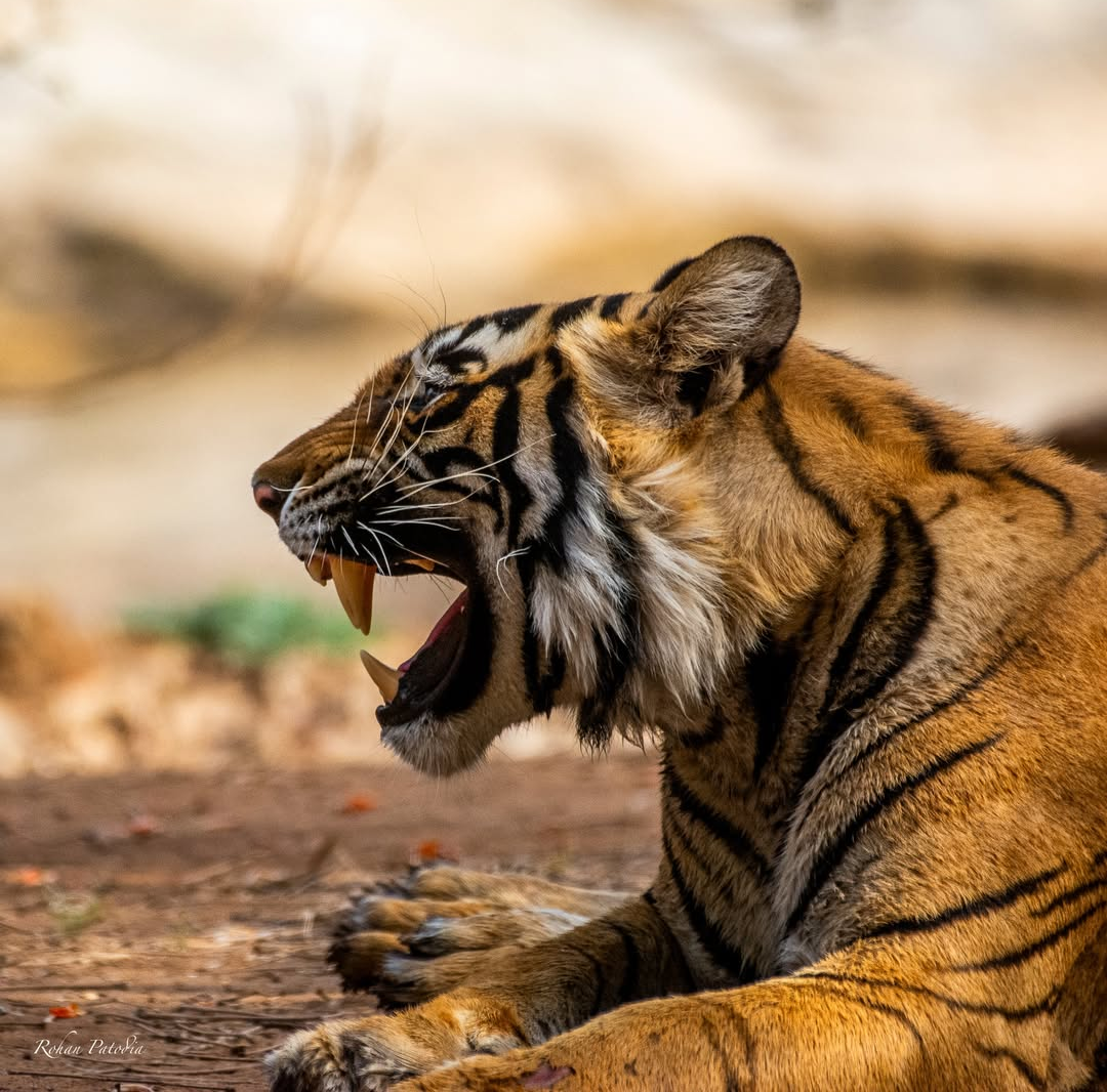 screenshot 20250205 183122.instagram~2