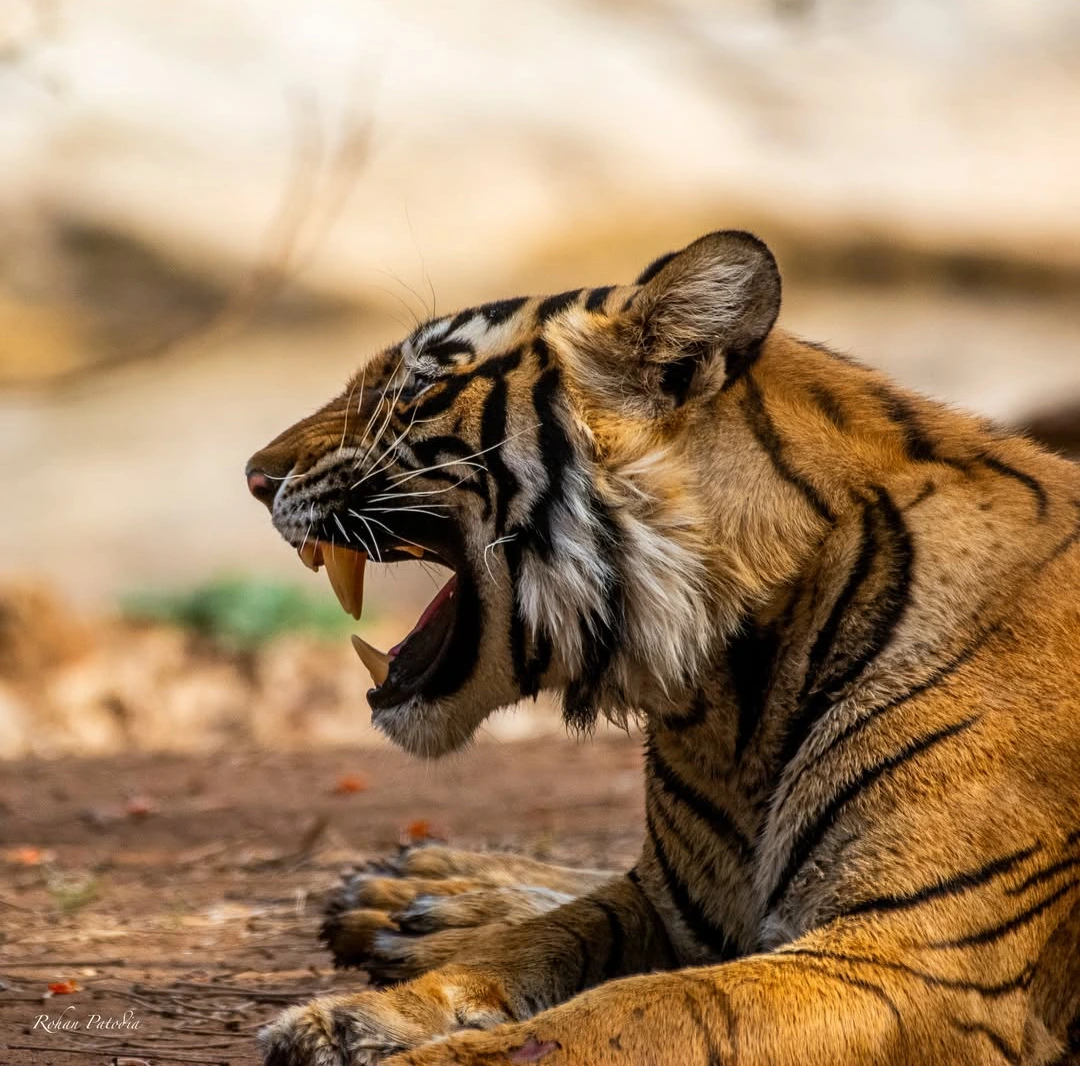 screenshot 20250205 183122.instagram2